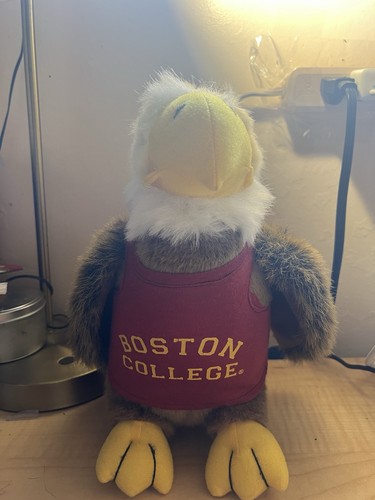 Boston college chelsea teddy - college,