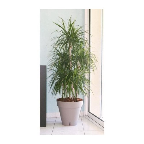 Riviera pot fleurs - pot, de
