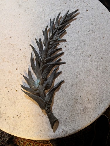 Grande palme ancienne - grande,