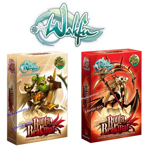 Lot decks cartes wakfu - lot,