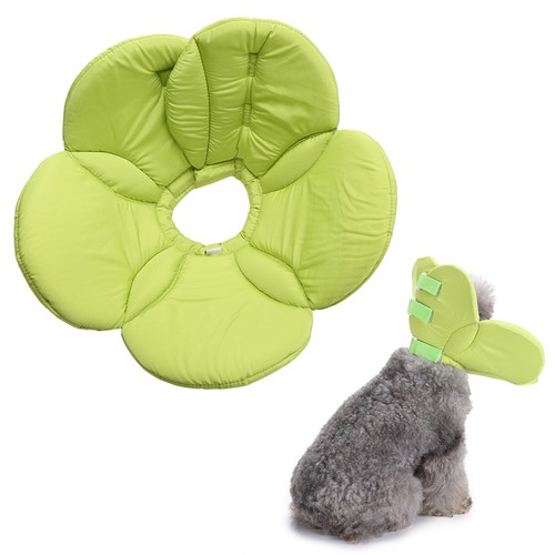 Colier pour chien collerette - colier,