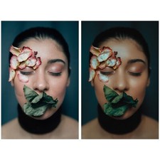 Services professionnels de