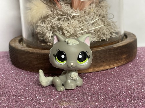 Petshop chaton snowshoe - chaton,