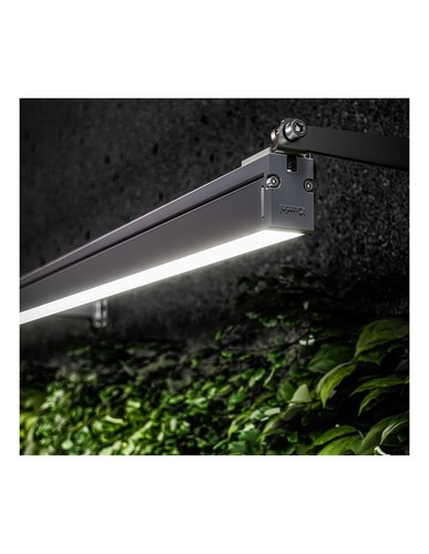 Iguzzini linealuce led - iguzzini, blanc