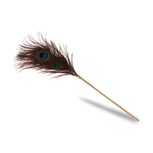 Bondage plumeau peacock - &,