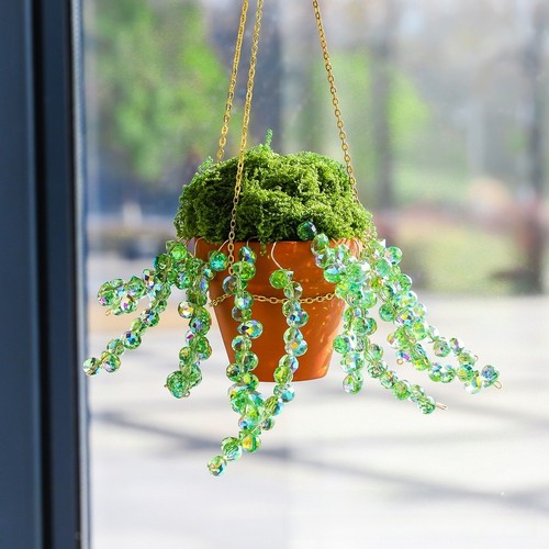 Jardin suspendu décoration - jardin,