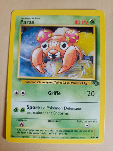 Paras jungle wizards - jungle,