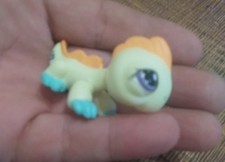 Petshop iguane lézard jaune