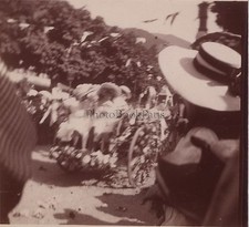 Carnaval Chars fleuris Photo