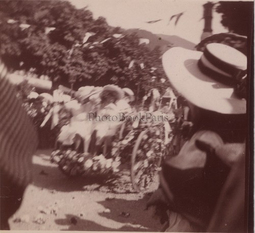 Carnaval chars fleuris photo - fleuris,