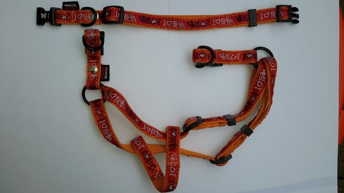 Collier harnais chien martin - +,