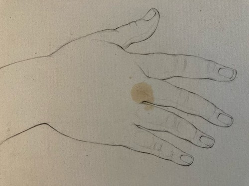 Beau dessin anatomie - , mine