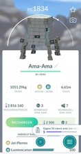 Ama-Ama / Stakataka Pokémon GO  