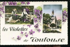 TOULOUSE LES VIOLETTES