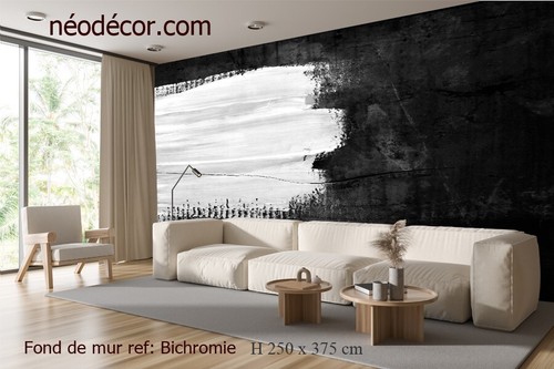 Fond mur ref bichromie - mur, ref: