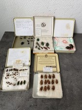 lot divers insectes science