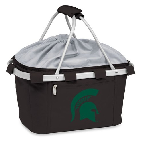 Michigan state university - state,