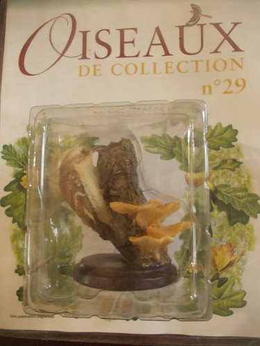 Grimpereau oiseau eaglemoss - oiseau,