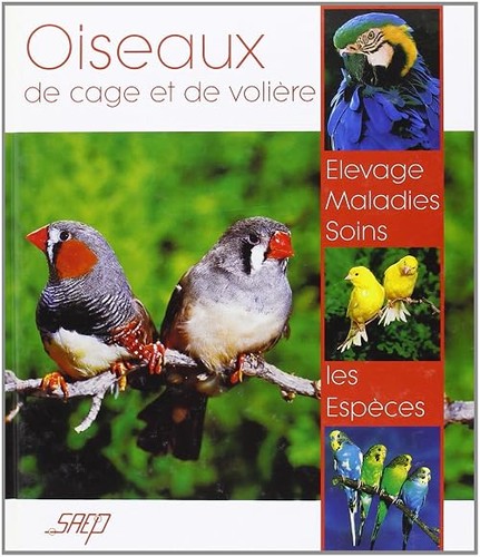 Oiseaux cage de volière - cage, et