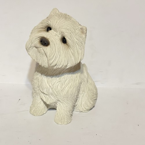 White terrier westie dog - terrier,