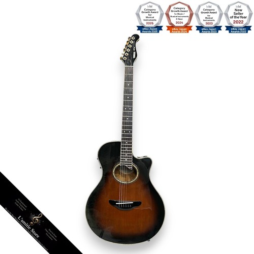 Guitare acoustique électrique
