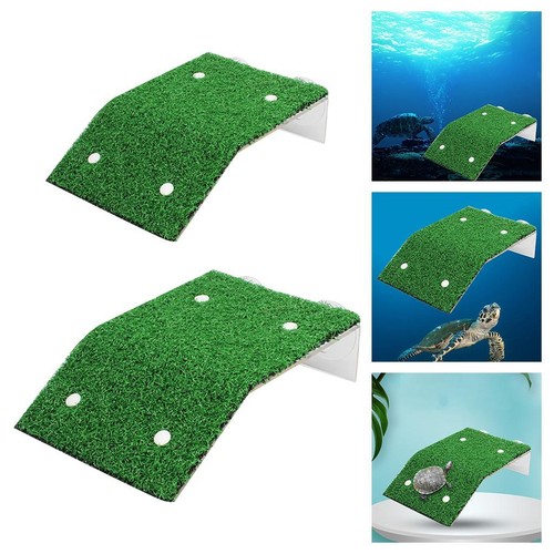 Tortue soleil plate forme - tortue,