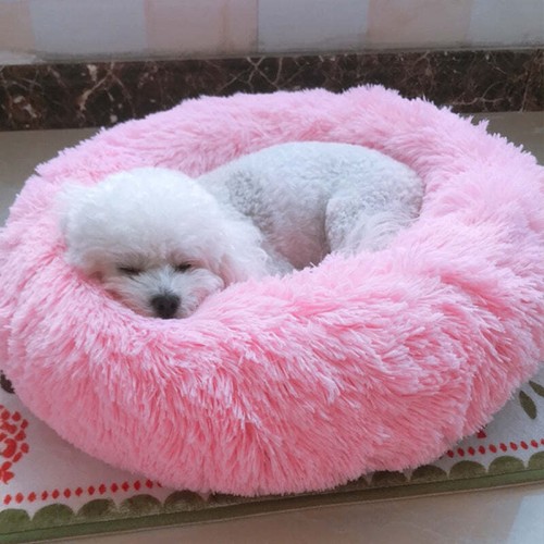 Manufacturers deep sleep - , dog