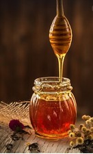 Miel d'été 1 pot de 1 kilo