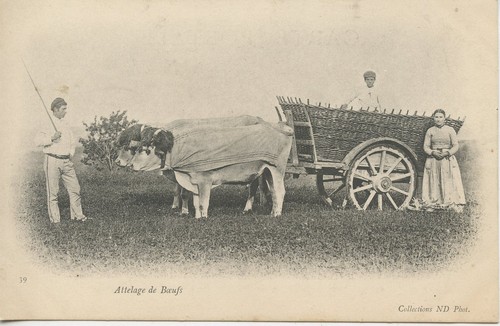 Carte postale postcard - /,