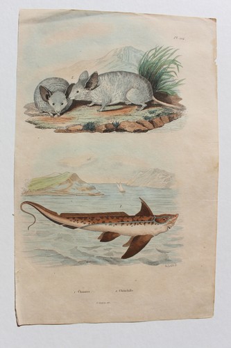Gravure 1835 dictionnaire - gravure,