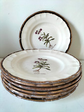 8 assiettes botaniques vintage