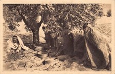 Tunisie - SFAX - Ramassage et