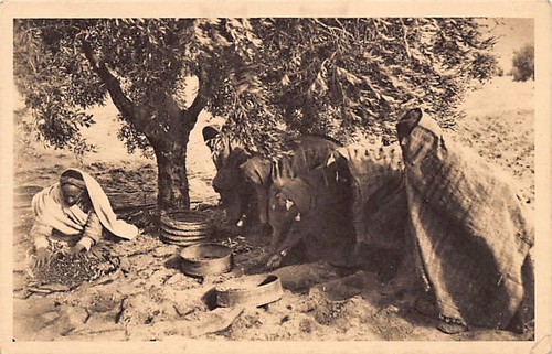 Tunisie sfax ramassage et - -,