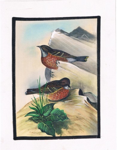Peinture miniature fait - peinture,