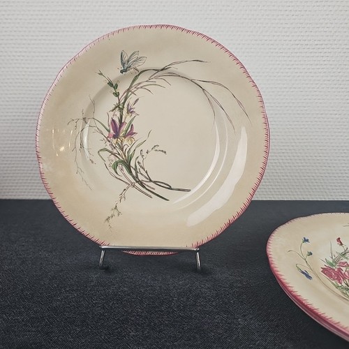 Assiettes plates décor - assiettes,