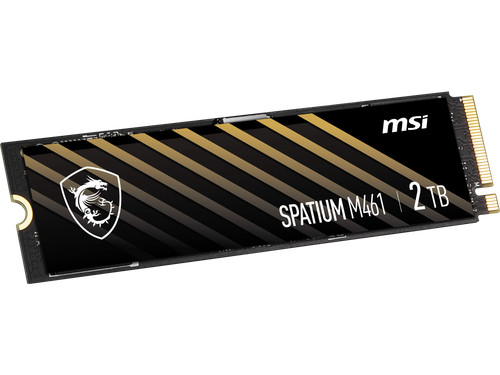 Msi m461 2280 2tb - msi,