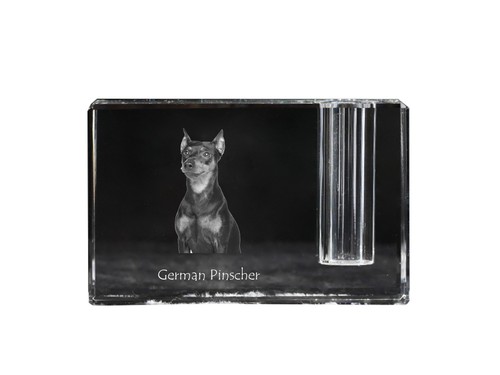 Pinscher allemand - allemand,