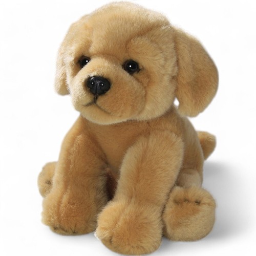 Carl dick golden - golden, retriever
