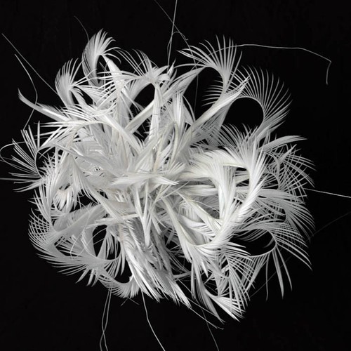 Chapeau fascinateur plumes - chapeau,