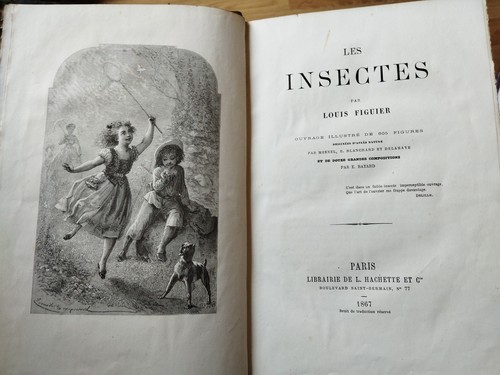 Les insectes louis - les, insectes,