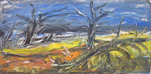 Pierre peress hsp - peress,