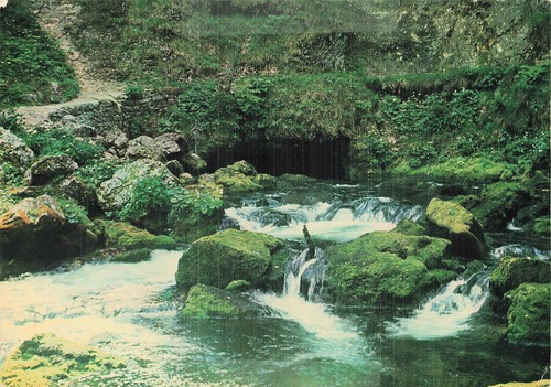 Suisse vallorbe source l - source,