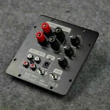 SW-501 TPA3118 2.1 Digital