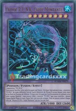 Yu-Gi-Oh! Ukiyoe-P.U.N.K. Carpe Montante : UR BLMM-FR079