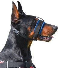 Muselière pour Chiens