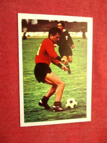 Mojsov rennes rennais image - mojsov,
