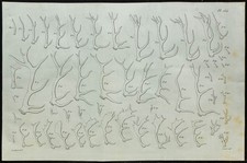 1836 - Bois de cervidés (Cerf
