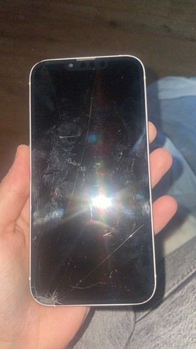 Iphone 256 hs - 13,