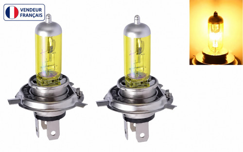 Ampoules 100w phares rallye - ampoules, h4