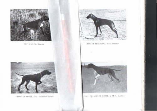 Livre ancien chien arret - ancien,